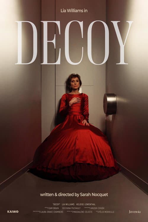 Decoy (2025) poster