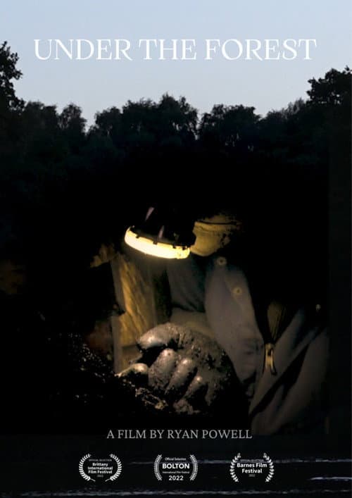Under the Forest (2021) poster