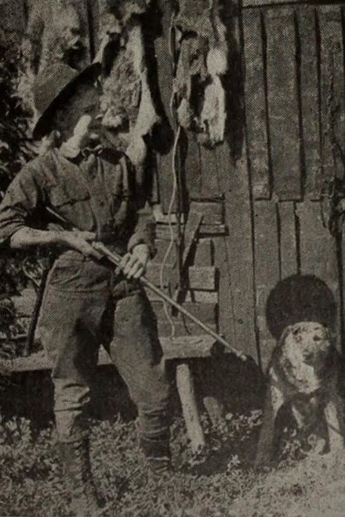 Outwitting the Timber Wolf (1921) poster