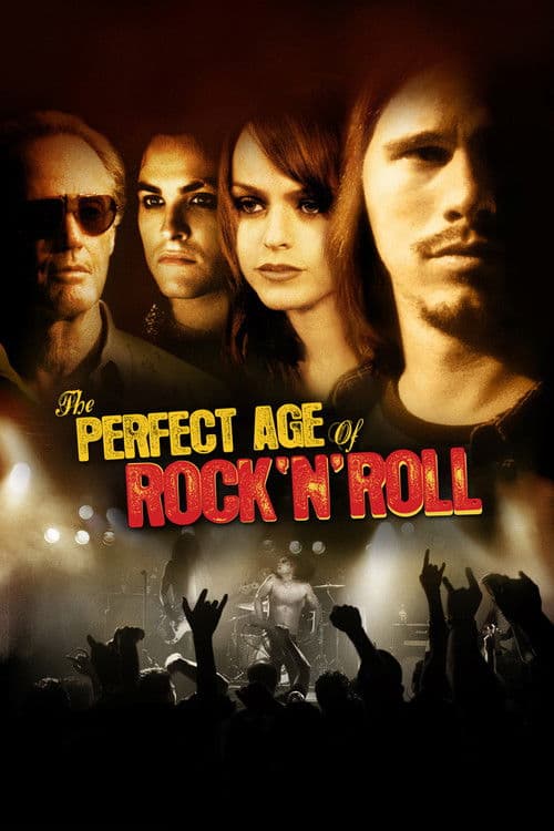 The Perfect Age of Rock 'n' Roll (2011) poster