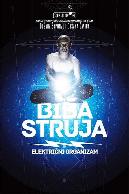 Biba struja (2012) poster