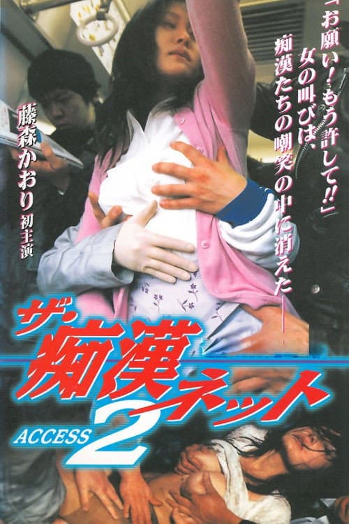 ザ・痴漢ネット ACCESS 2 (1999) poster
