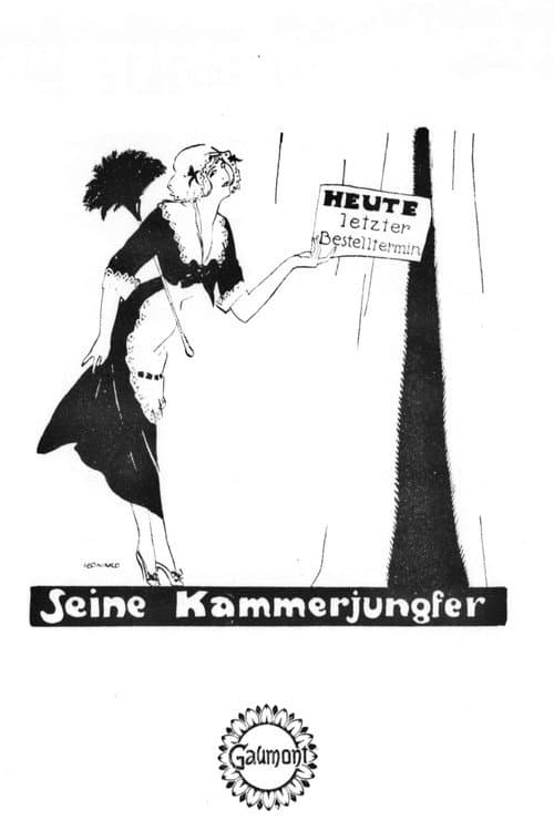 Seine Kammerjungfer (1913) poster