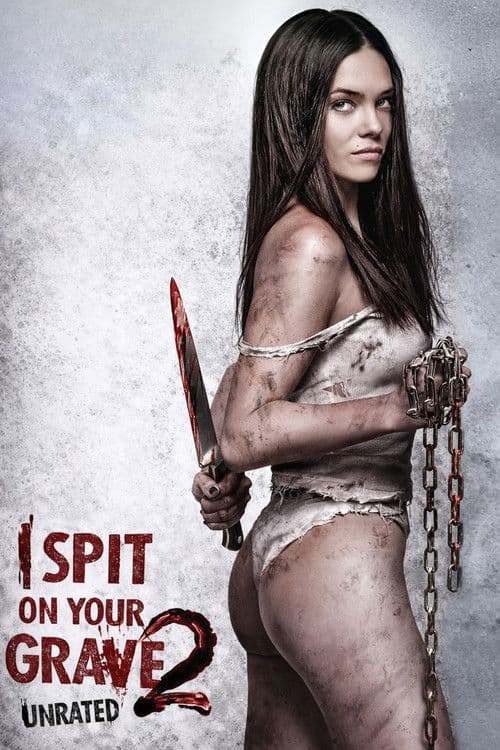 I Spit on Your Grave 2 (2013) poster