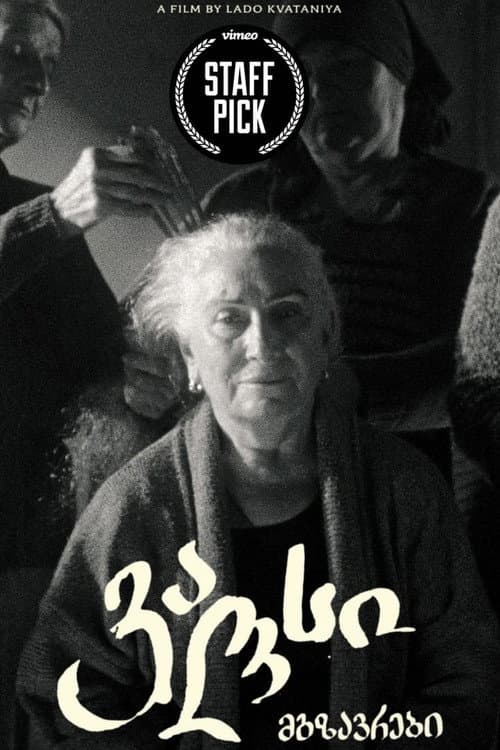 Mgzavrebi: Waltz (2023) poster