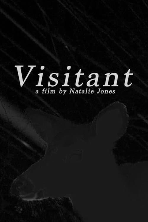 Visitant (2025) poster
