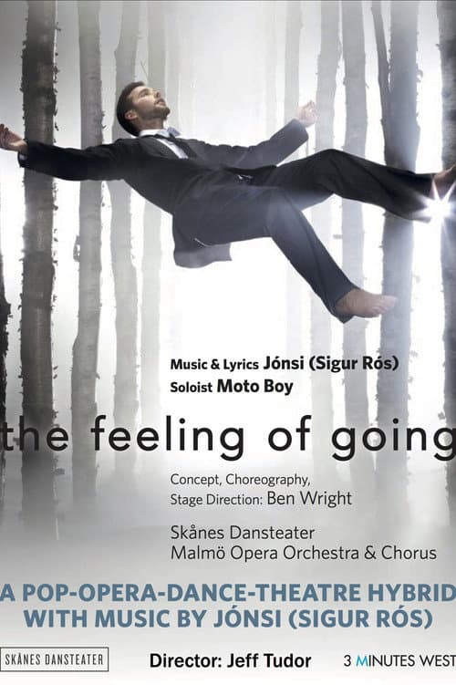 The Feeling of Going (2018) poster