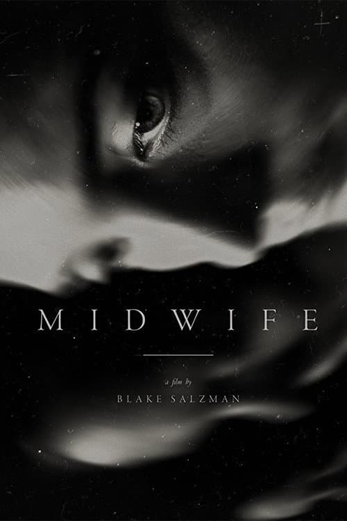Midwife (2016) poster