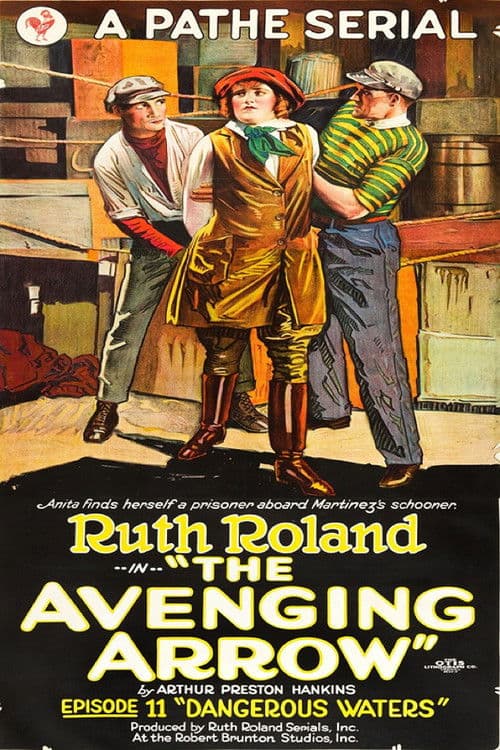 The Avenging Arrow (1921) poster