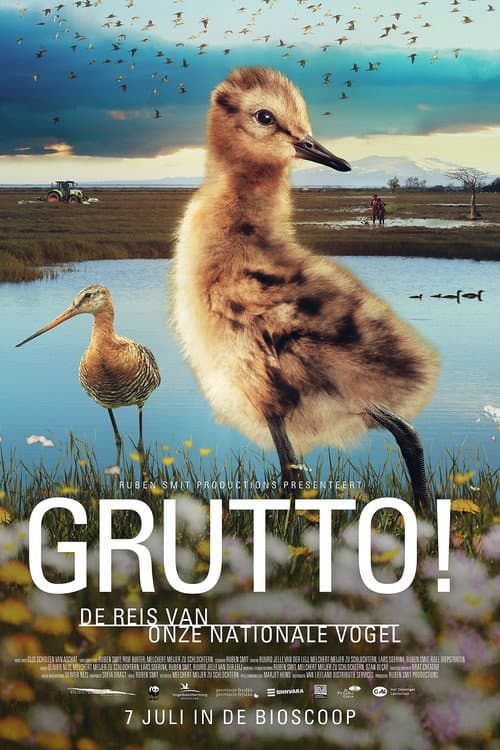 Grutto! De reis van onze nationale vogel (2022) poster