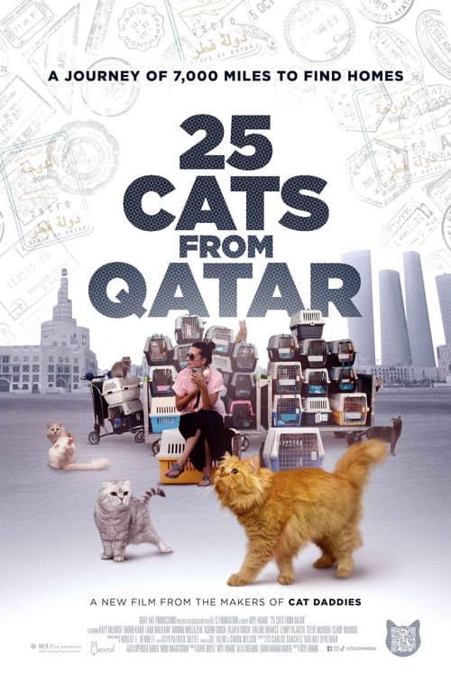 25 Cats from Qatar (2026) poster