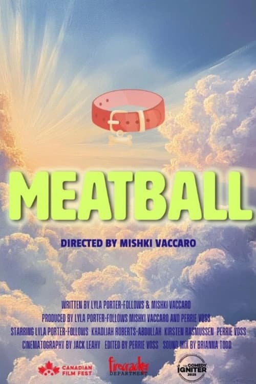 Meatball (2025) poster