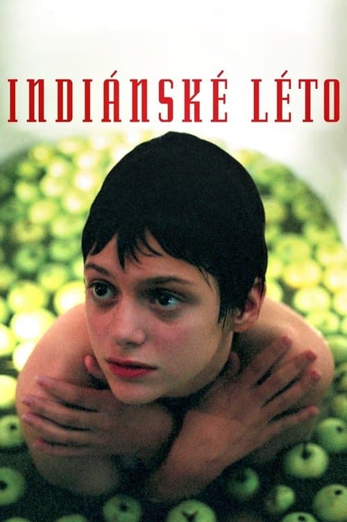 Indiánské léto (1995) poster