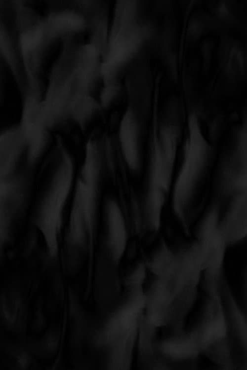 Phosphenes (2024) poster