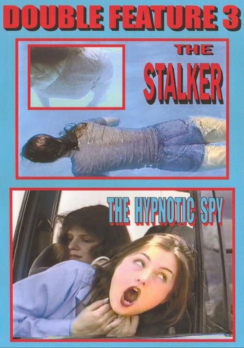 The Stalker (1997) poster
