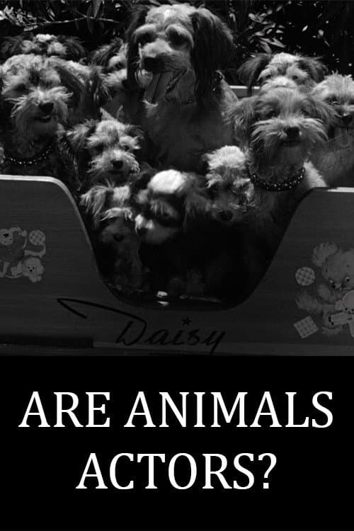 Are Animals Actors? (1945) poster