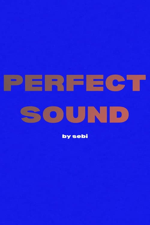 Perfect Sound (2025) poster