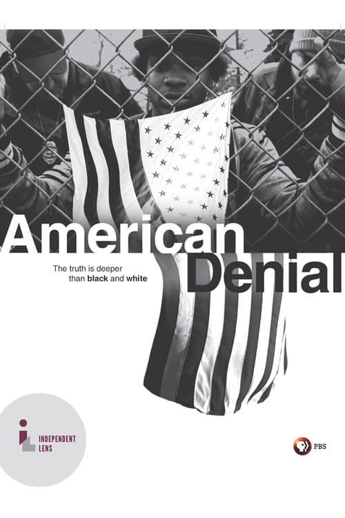 American Denial (2015) poster