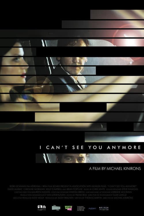 I Can't See You Anymore (2012) poster