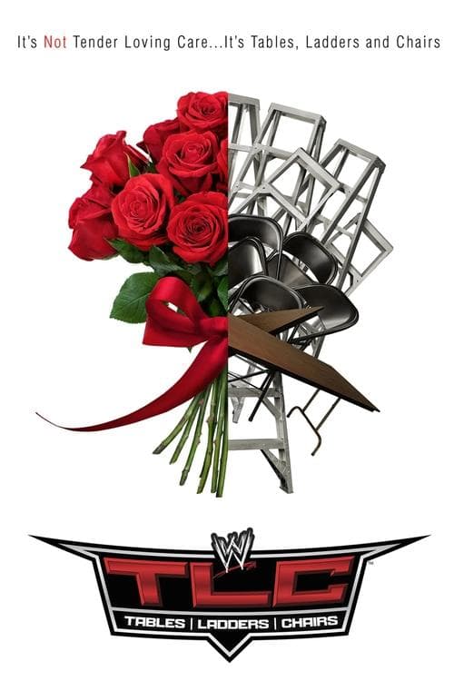 WWE TLC: Tables, Ladders & Chairs 2013 (2013) poster