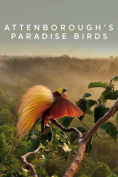 Attenborough's Paradijsvogels (2015) poster