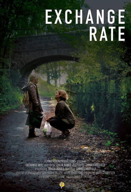 Exchange Rate (2024) poster