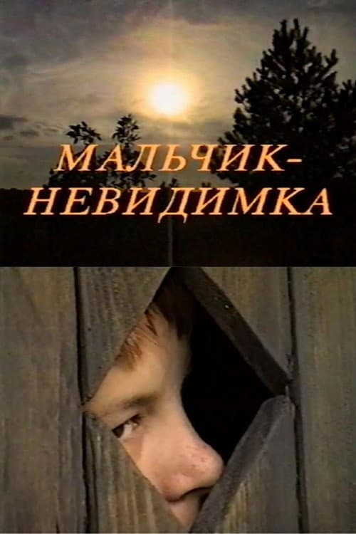 Мальчик-невидимка (1999) poster