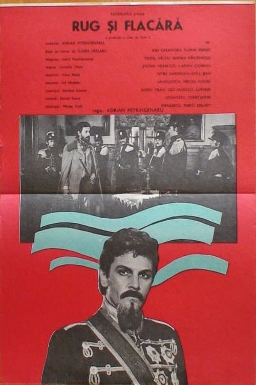 Rug și flacără (1980) poster