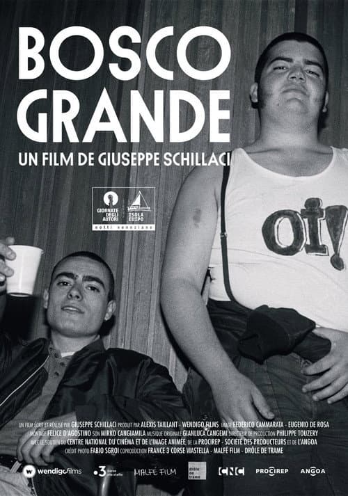 Bosco Grande (2024) poster