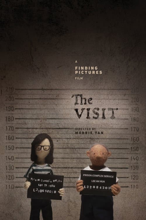 The Visit (2021) poster