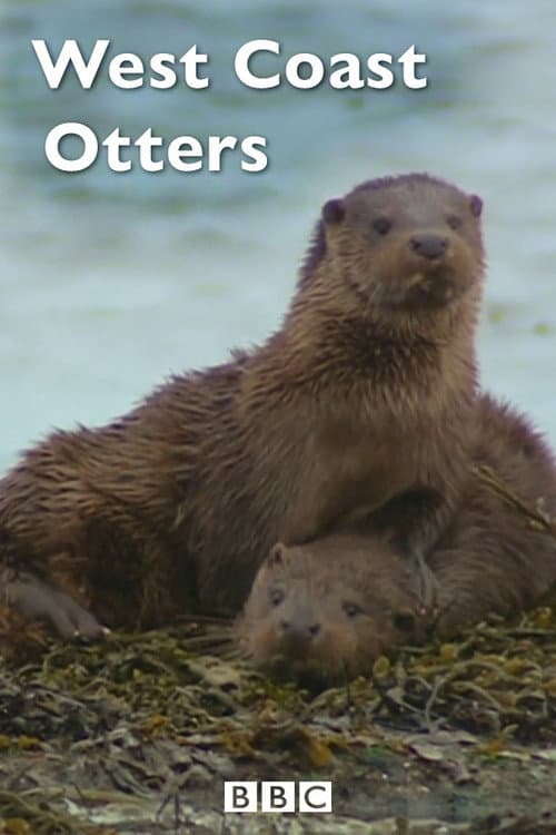 West Coast Otters (2005) poster