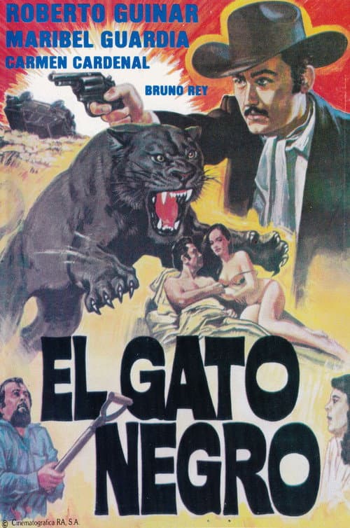 El Gato Negro (1987) poster
