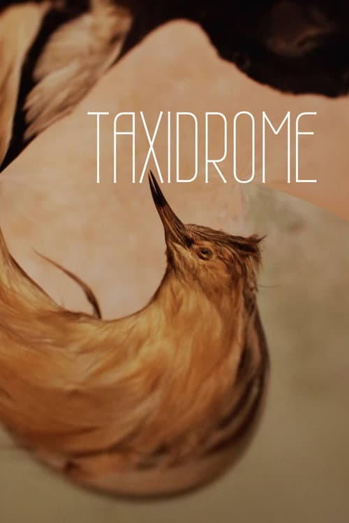 Taxidrome (2021) poster