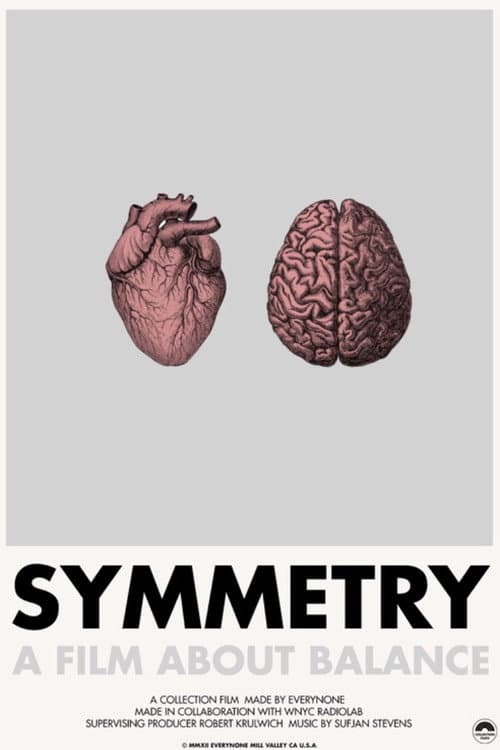 Symmetry (2011) poster