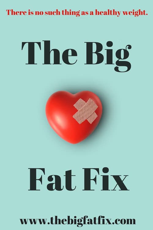 The Big Fat Fix (2016) poster