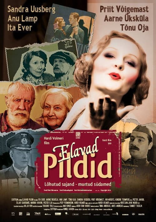 Elavad pildid (2013) poster