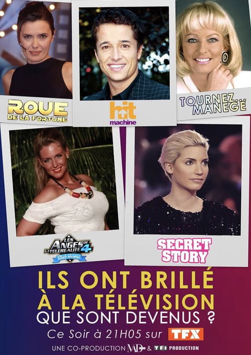 Ils ont brillé à la télé : que sont-ils devenus ? (2020) poster