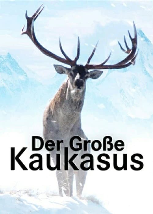 Der Große Kaukasus (2008) poster