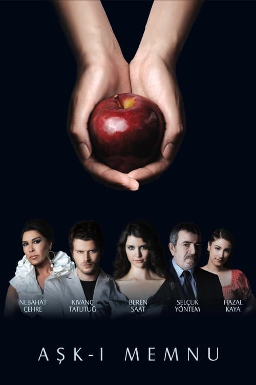 Aşk-ı Memnu (2008) poster
