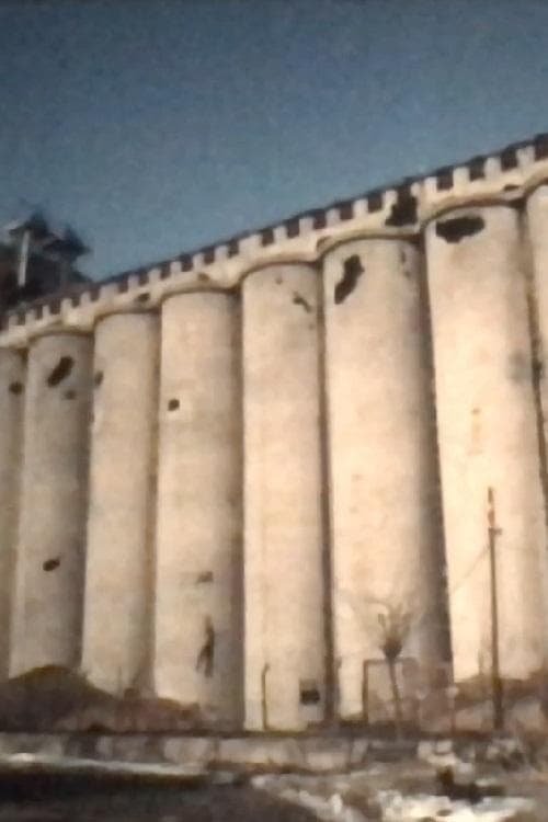 Silos Dunav, Vukovar (1993) poster