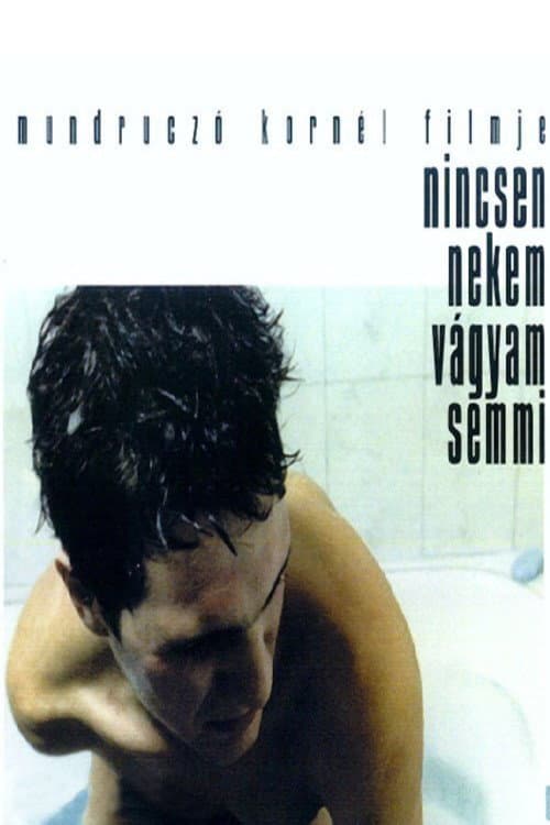 Nincsen nekem vágyam semmi (2000) poster
