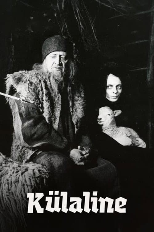 Külaline (1979) poster