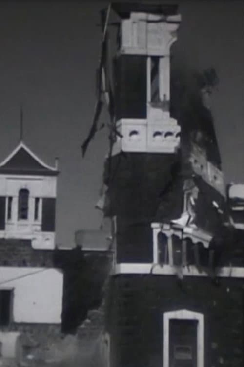 The Destruction of St. Patrick's College 1971 (1971) poster