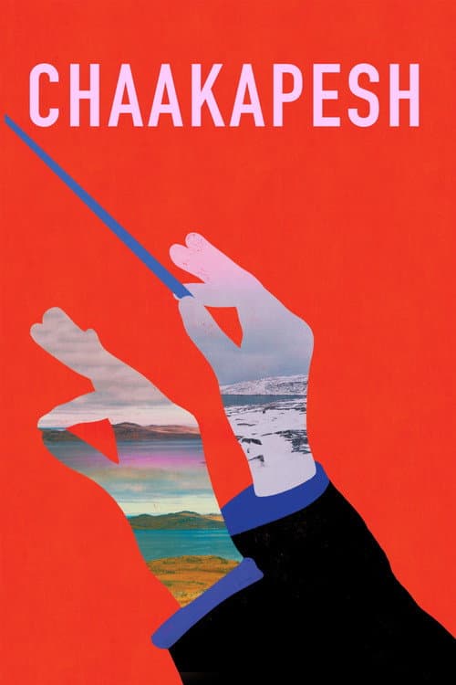 Chaakapesh (2020) poster