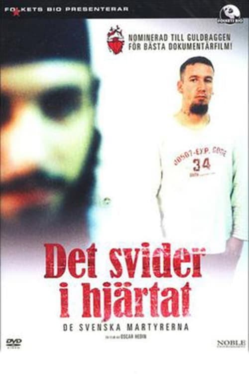 Det svider i hjärtat (2007) poster