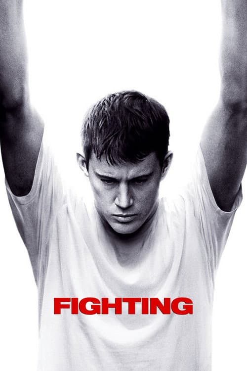 Fighting (2009) poster