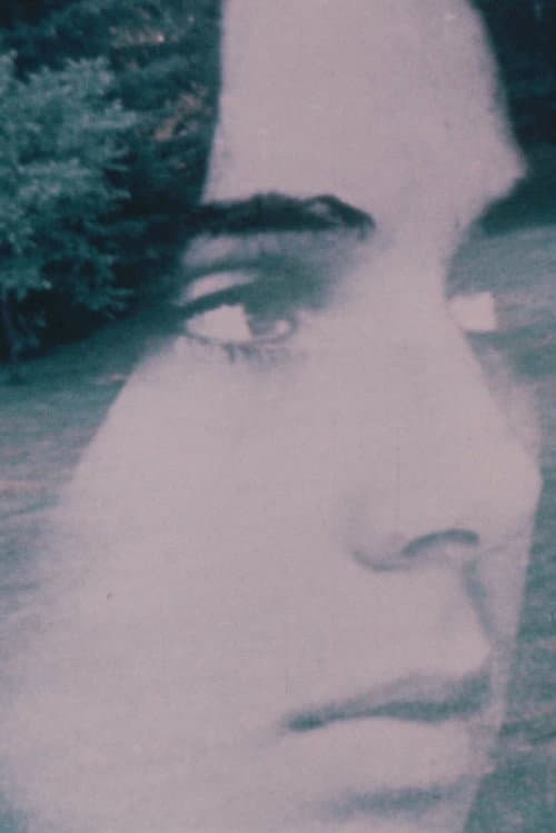 Andrea 1973 (1973) poster