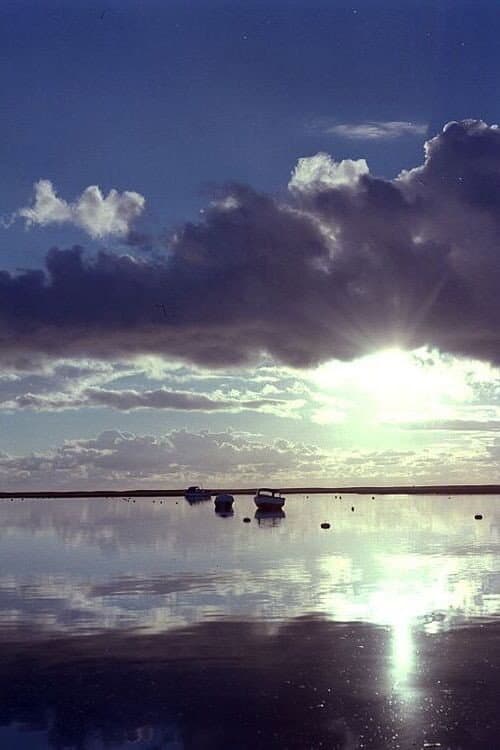 Estuary (1980) poster
