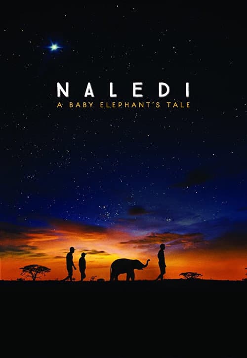Naledi: A Baby Elephant's Tale (2016) poster