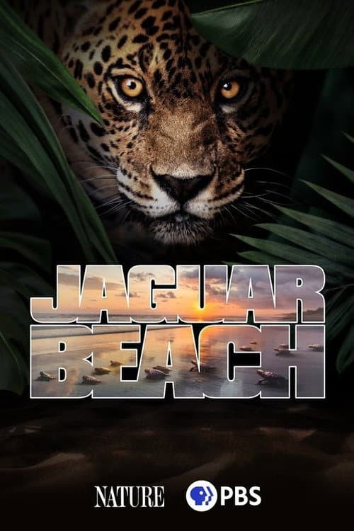 Jaguar Beach (2025) poster